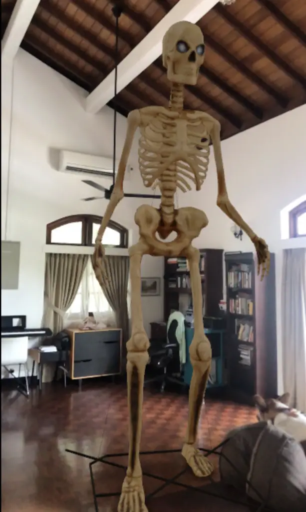 3D skeleton