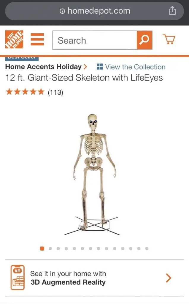 home depot skeleton